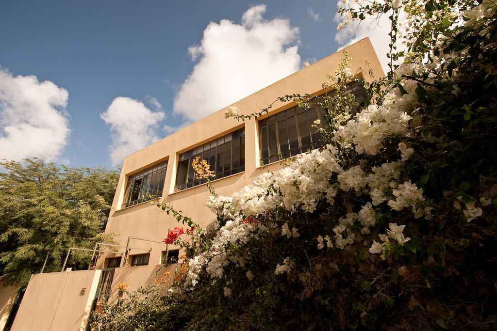 Krivine B&B Midreshet Ben Gurion Экстерьер фото